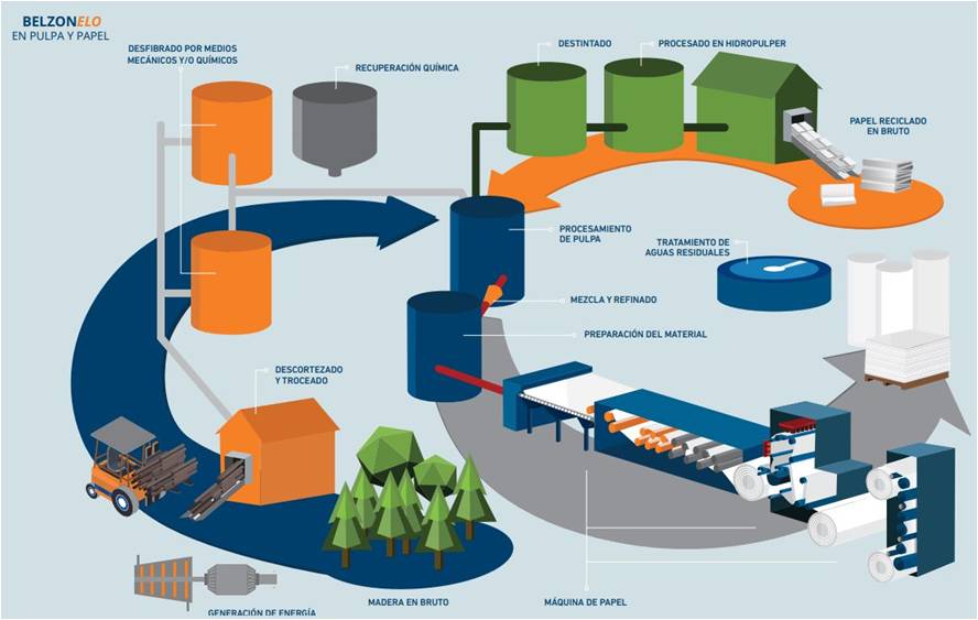 Pulp and paper industry
