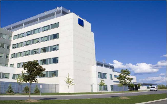 Belzona Hospitals