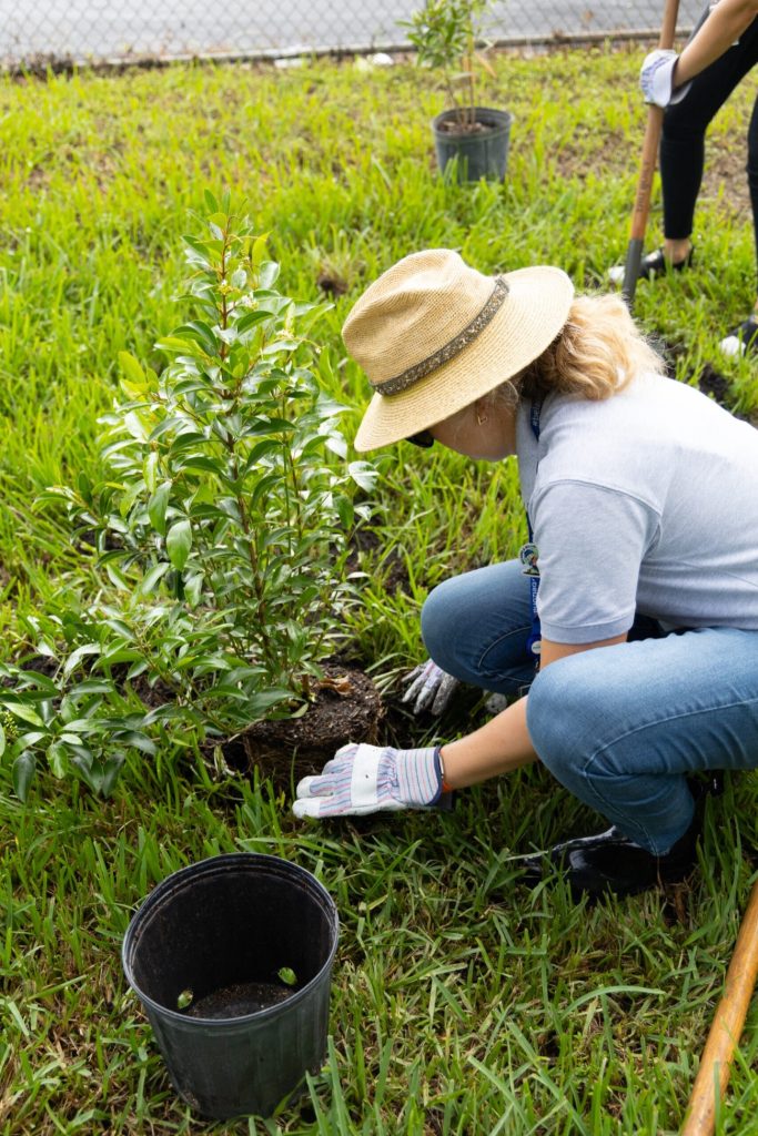 Belzona y la iniciativa Million Trees Miami
