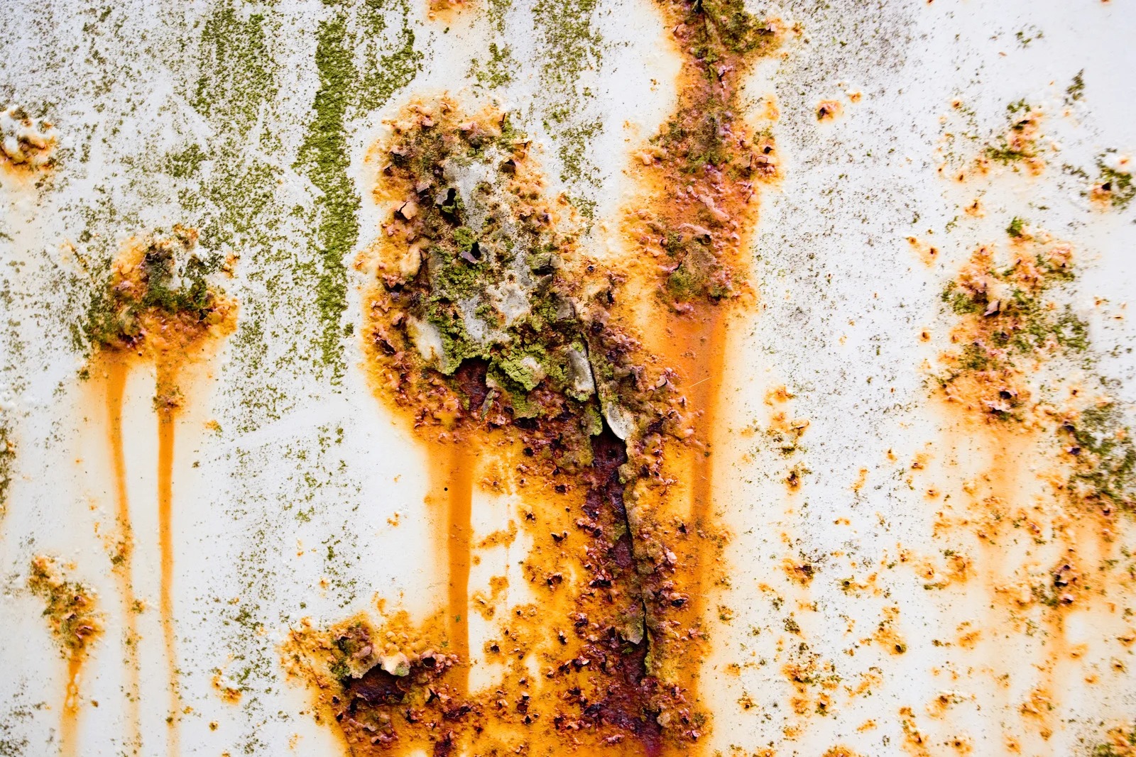 Rodator