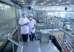 revestimientos industriales